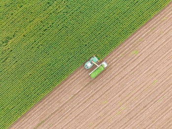 Aerial view of silage corn harvest. Taken via drone. Konya, Türkiye