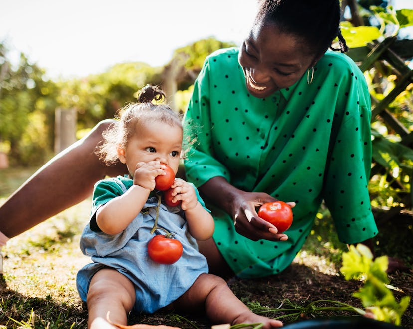 A young baby sitting in the back garden and eating fresh, home grown tomatoes with her mom.