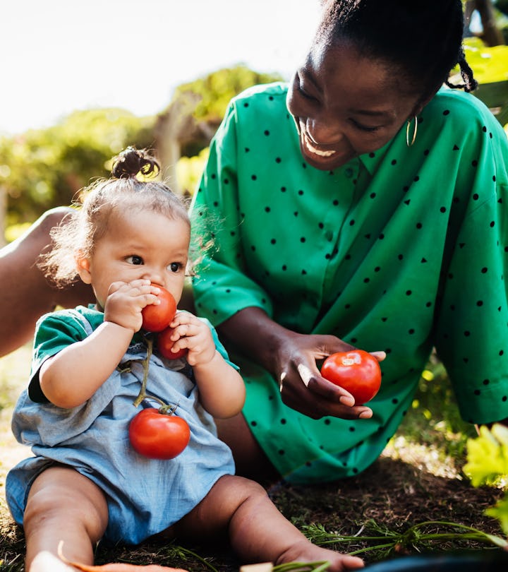 A young baby sitting in the back garden and eating fresh, home grown tomatoes with her mom.