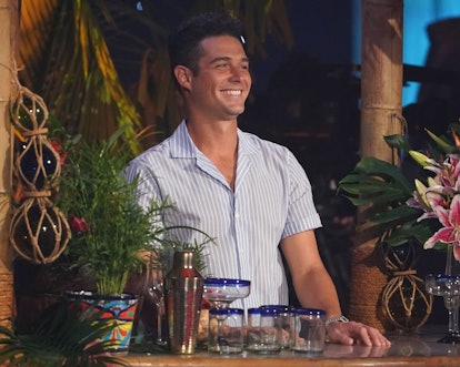 Wells Adams is the bartender on 'Bachelor In Paradise'