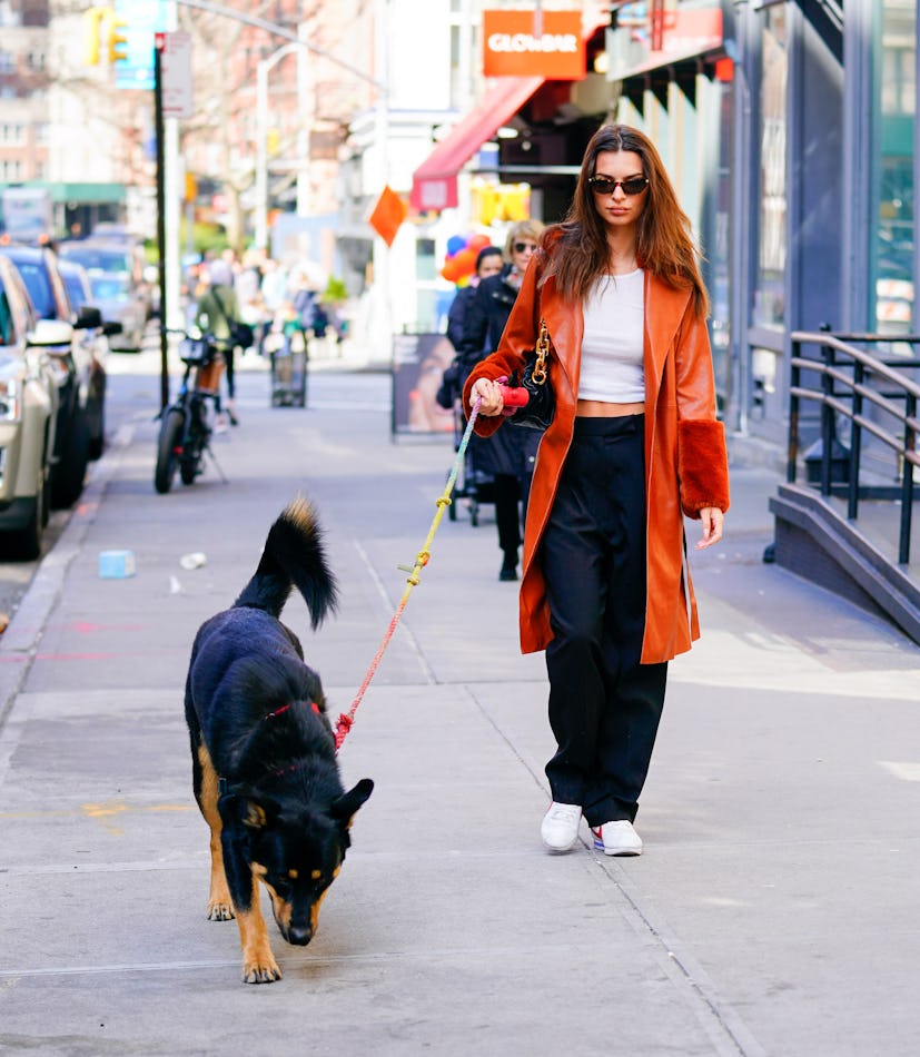 Emily Ratajkowski walks her dog Bear on March 02, 2020 in New York City.