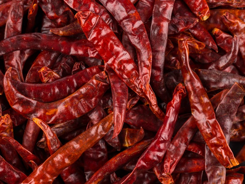 dried chili as a food background. Closeup photo