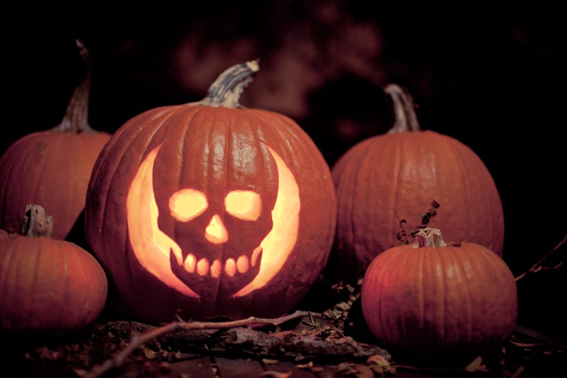 Collection of Halloween pumpkins with largest pumpkin hollowed out and carved with shape of skull, T...
