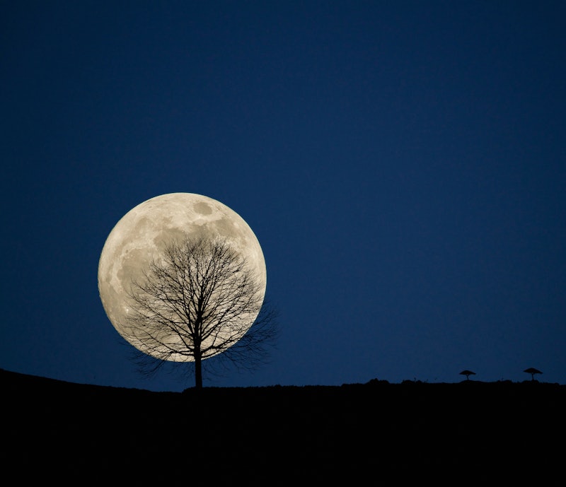 How the Full Moon Affects Your Emotions & What To Do About It