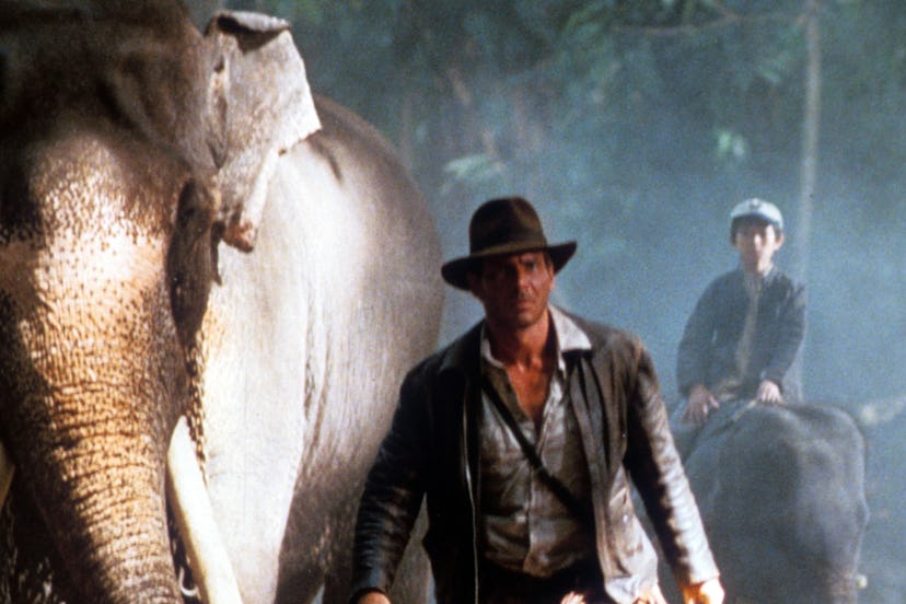 Harrison Ford and Jonathan Ke Quan walk with elephants in a scene from the film 'Indiana Jones And T...