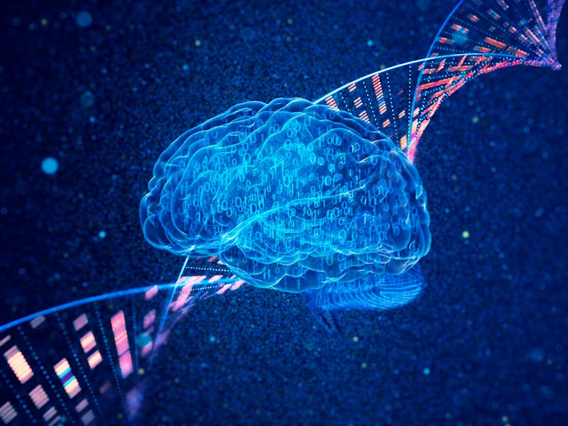Binary brain and genomic DNA on a dark blue particle background.