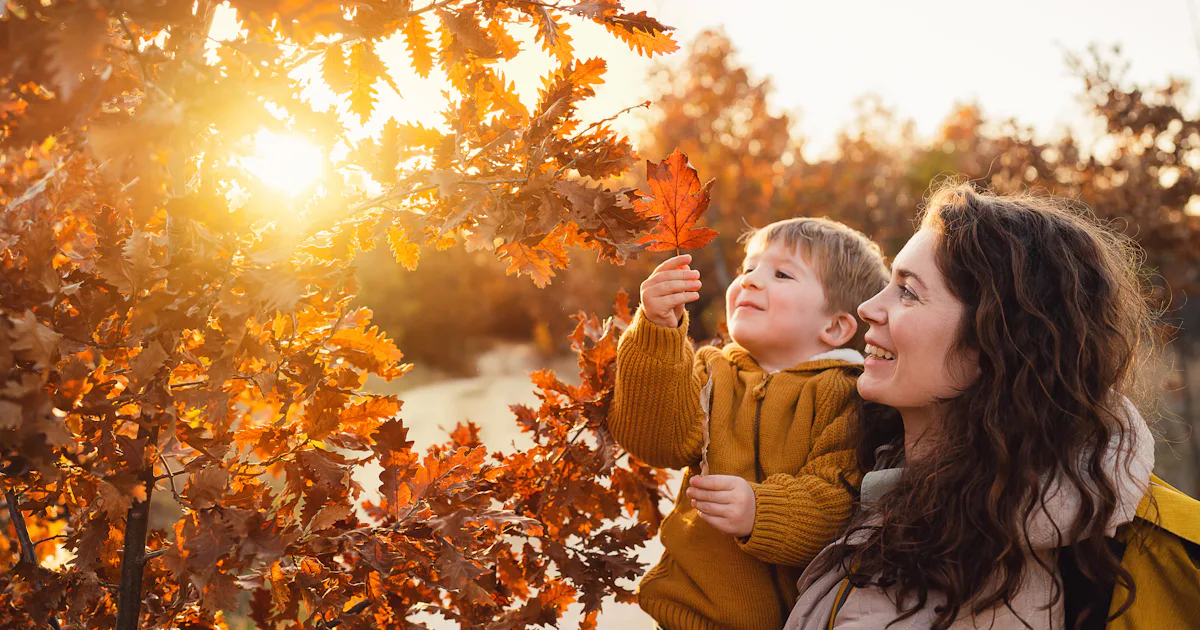 September Moms November Is The Best Month For Moms