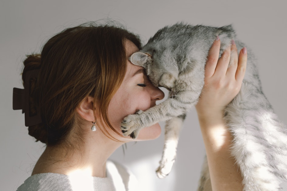 Cats React to 'Baby Talk' From Their Owners, but Not Strangers