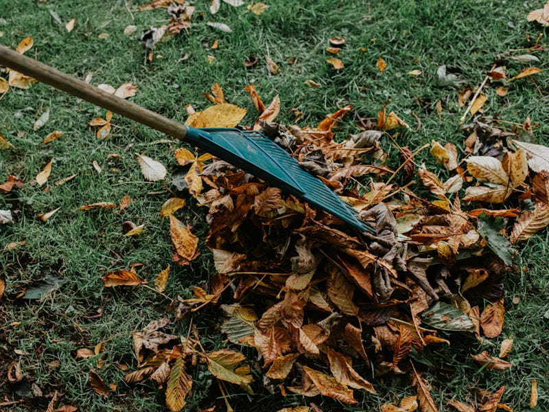 This Easy, Lazy Science Hack Ditches Raking And Leaves Lawns Healthier