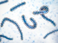 Marburg viruses, computer illustration. This RNA (ribonucleic acid) virus is the cause of Marburg ha...