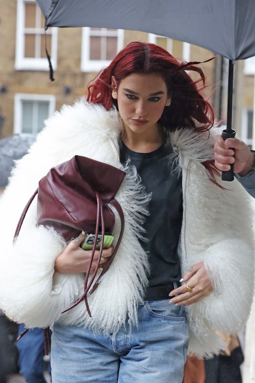 Dua Lipa teased a new single, Houdini, on November 8, 2023 wearing silver chrome nails with her new …