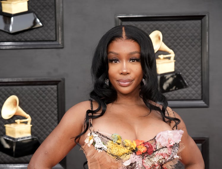 LAS VEGAS, NEVADA - APRIL 03: SZA attends the 64th Annual GRAMMY Awards at MGM Grand Garden Arena on...