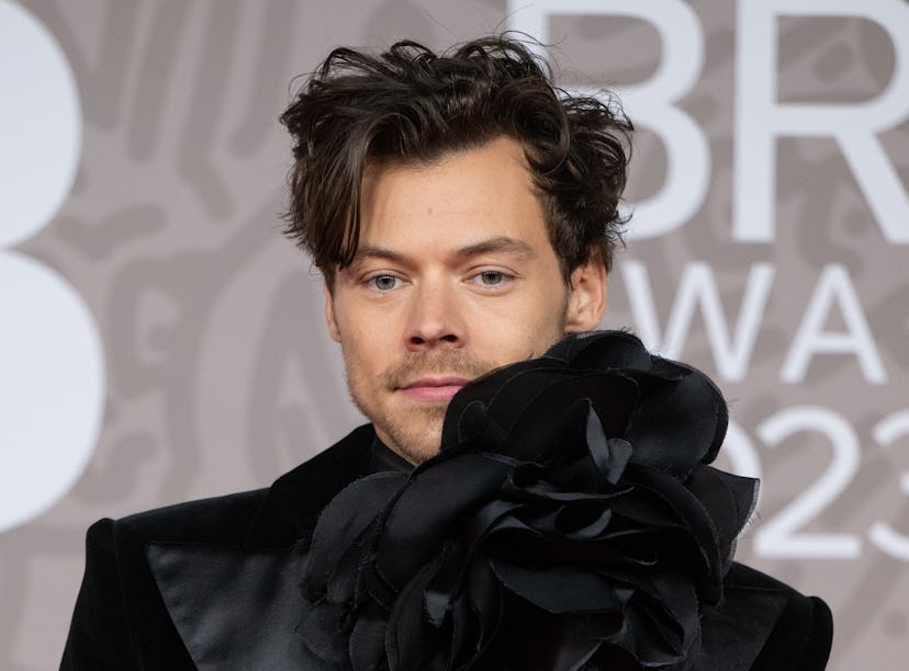 Harry Styles' new shaved head has fans mourning the loss of his signature hair.