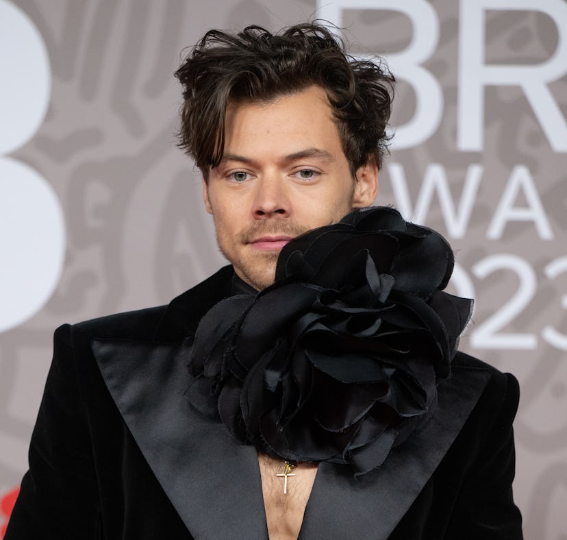 Harry Styles' new shaved head has fans mourning the loss of his signature hair.