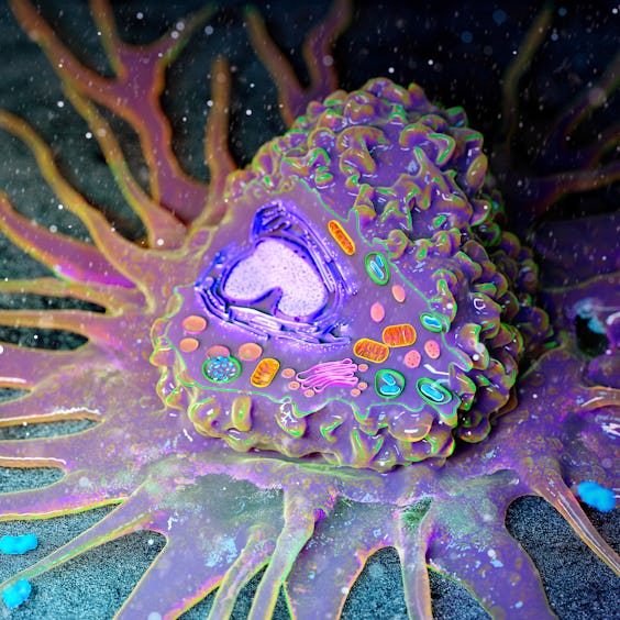 New Anti-aging Molecule May Work By Keeping the Cell’s “Powerhouse” Healthy New Anti-aging Molecule May Work By Keeping the Cell’s “Powerhouse” Healthy