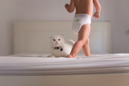 A stoic looking cat looks at the camera while a child in a diaper, head unseen, runs around the bed.