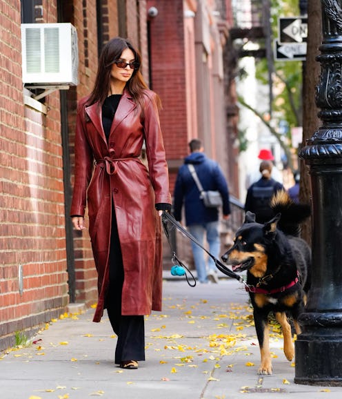 NEW YORK, NEW YORK - NOVEMBER 14: Emily Ratajkowski walks her dog on November 14, 2023 in New York C...