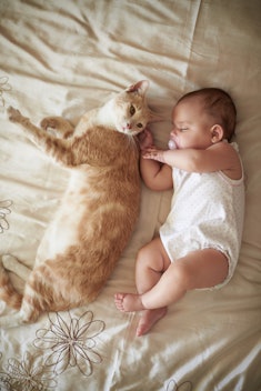 Shot of an adorable baby girl sleeping peacefully next to a cat on a bed at home