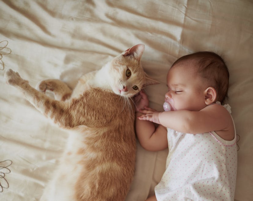 Shot of an adorable baby girl sleeping peacefully next to a cat on a bed at home
