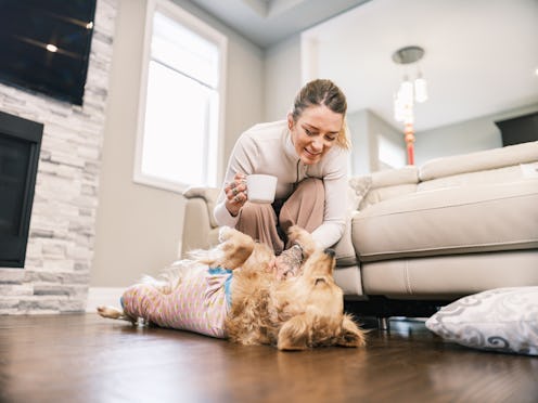 The three zodiac signs with the most golden retriever energy, according to astrologers.