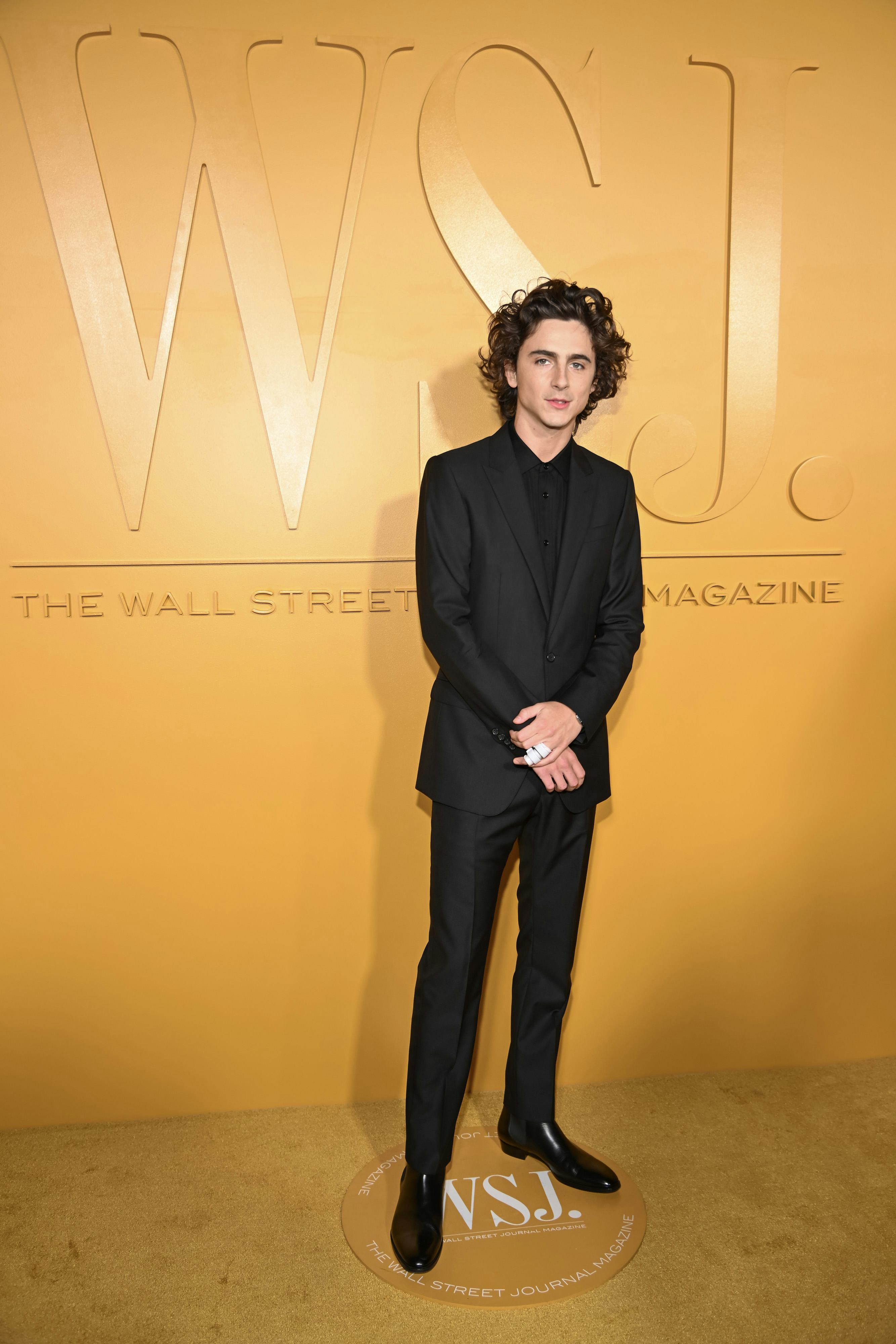Timothée Chalamet attends the WSJ. Magazine 2023 Innovator Awards.