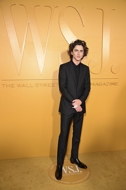 Timothée Chalamet attends the WSJ. Magazine 2023 Innovator Awards.