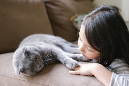 photo of A little girl hanging out with her Scottish Fold cat in article about how kids can safely i...