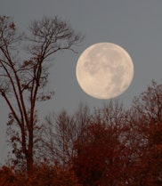 NEW JERSEY, USA - NOVEMBER 20: Beaver Moon sets at the town of Edgewater, New Jersey, United States ...