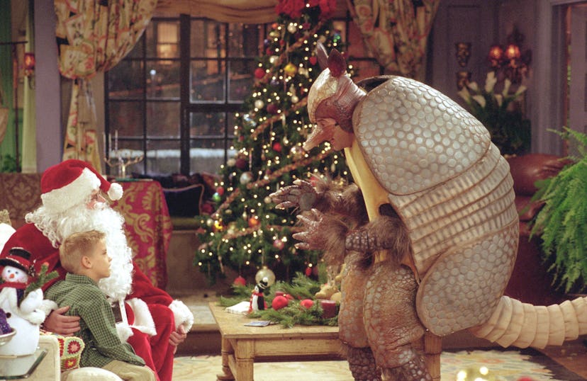 Ross was a holiday armadillo.