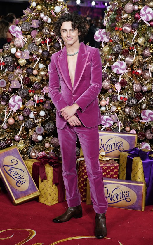 Timothee Chalamet arrives for the world premiere of Wonka at the Royal Festival Hall in London. Pict...
