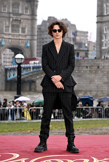 Timothée Chalamet attends the "Wonka" Photocall at Potter's Field Park on November 27, 2023 in Londo...