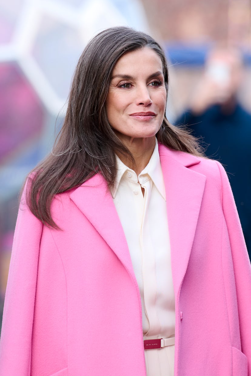 Queen Letizia of Spain visits the DAC Danish Architecture Center on November 08, 2023 in Copenhagen,...