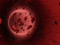 Red blood cells in an artery or blood vessel , flow inside body, medical human health-care. 3D Rende...