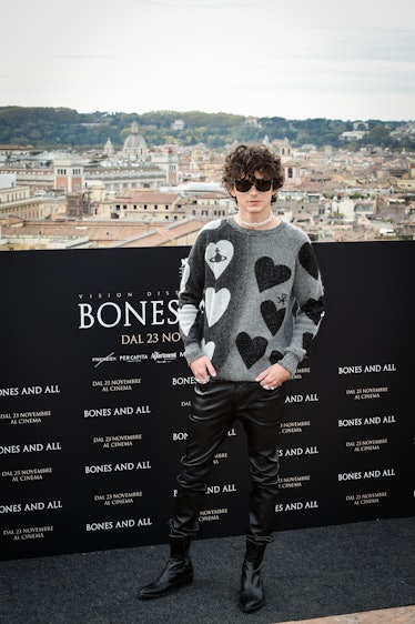 Timothée Chalamet during the photocall for the presentation of the film Bones and All, at the Hotel ...