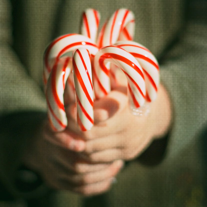 Close-up of Candy canes holding by hands in article about babies and toddlers eating candy canes 