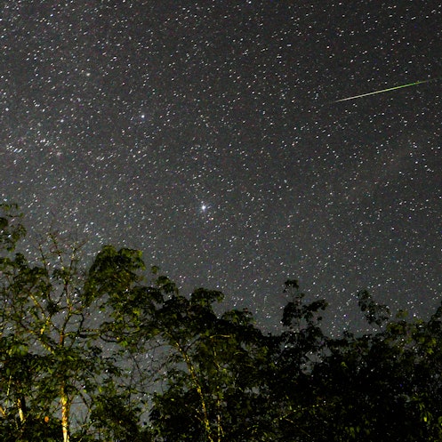 A green meteor is seen in the sky during the Geminid meteor showers in Ratnapura, Sri Lanka, on Dece...
