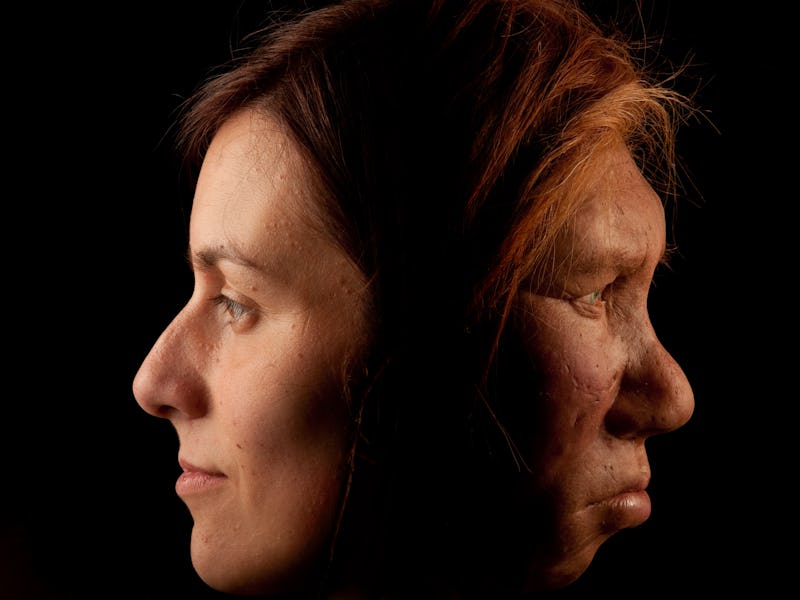 The Neanderthal woman was re-created and built by Dutch artists Andrie and Alfons Kennis. They used ...