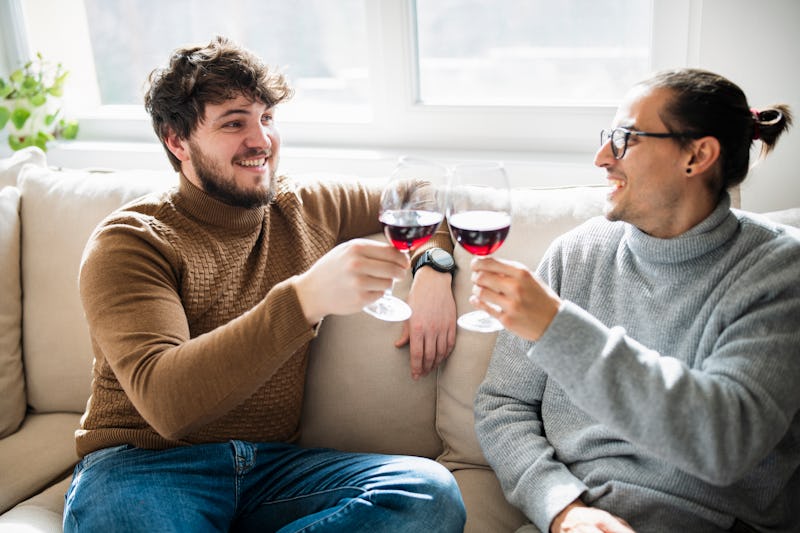 Happy gay couple enjoying a glass of wine at home.They are having fun with one another.