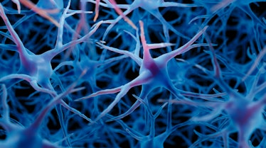 Neurons (nerve cells) in the human brain, computer illustration