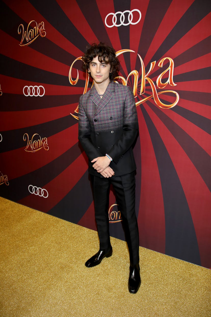 TORONTO, ONTARIO - DECEMBER 13: Timothée Chalamet attends the "Wonka" Canadian Fan Screening at Cine...
