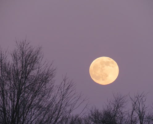 The December full moon known as The Cold Moon taken shortly after moonrise and not yet above the tre...