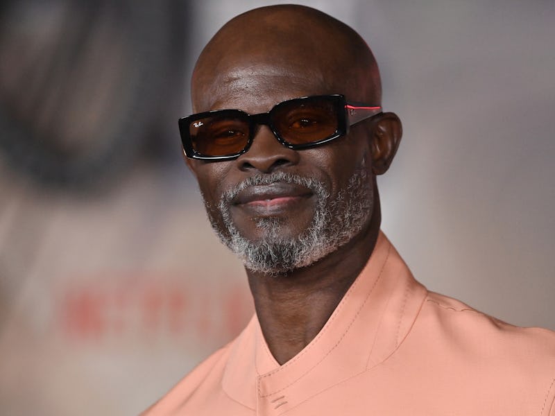 HOLLYWOOD, CALIFORNIA - DECEMBER 13: Djimon Hounsou attends the Los Angeles Premiere of Netflix's "R...