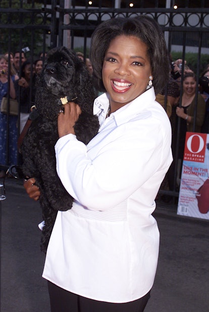 Oprah red lip gloss with Sophie the dog 2000
