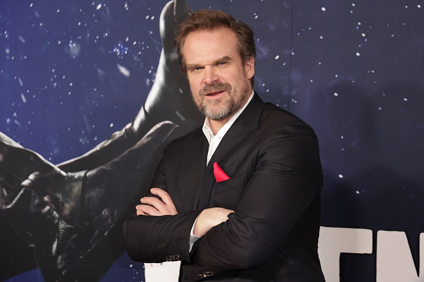 HOLLYWOOD, CALIFORNIA - NOVEMBER 29:  David Harbour attends the Premiere Of Universal Pictures' "Vio...