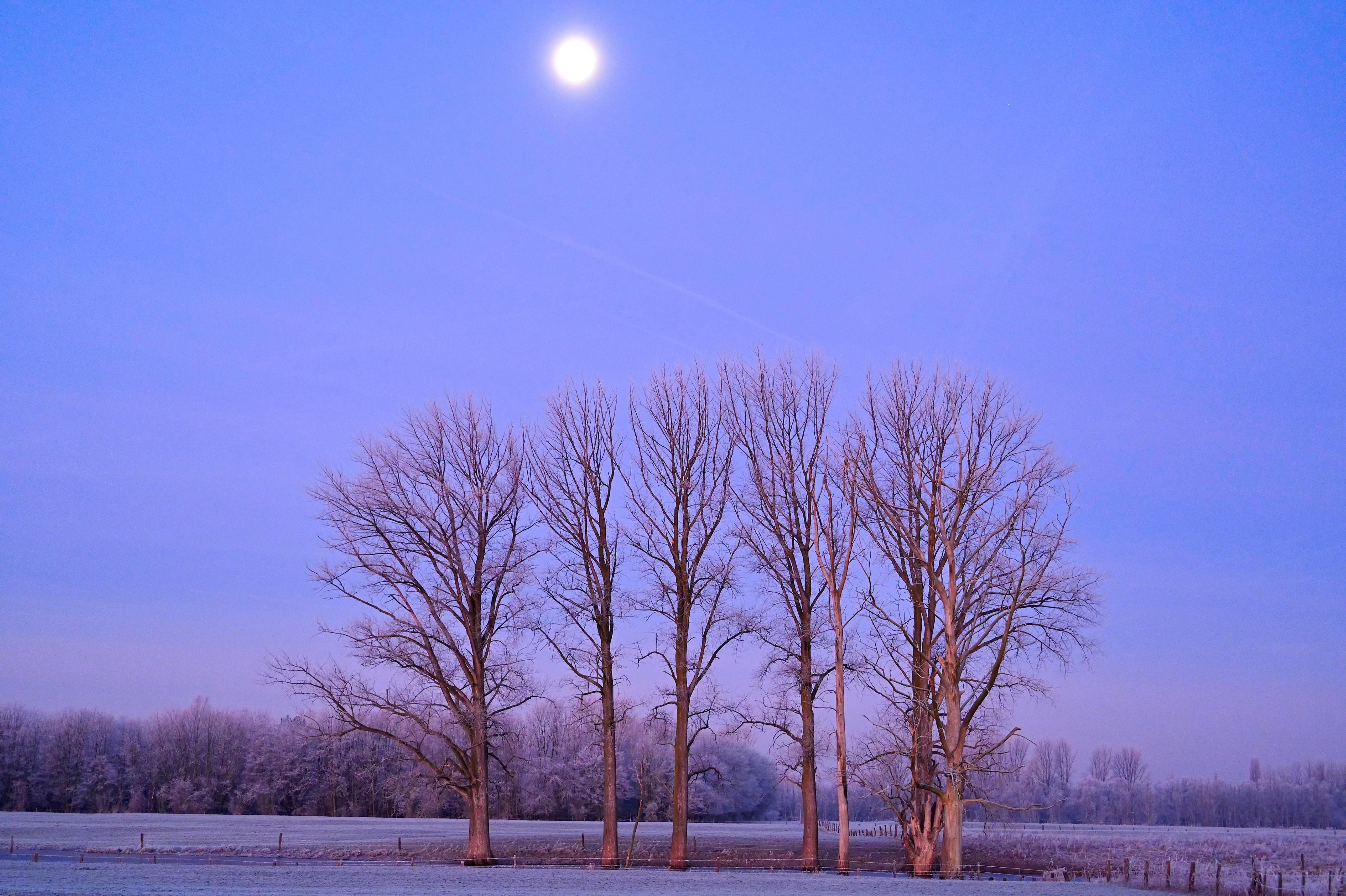 A dramatic full moon comes in January 2024.