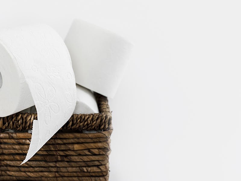 backet with toilet paper rolls copy space. Resolution and high quality beautiful photo
