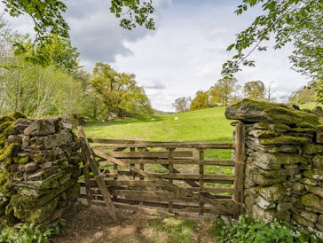 A wooden gate pictured near Ambleside in the Lake District securing sheep in their field.