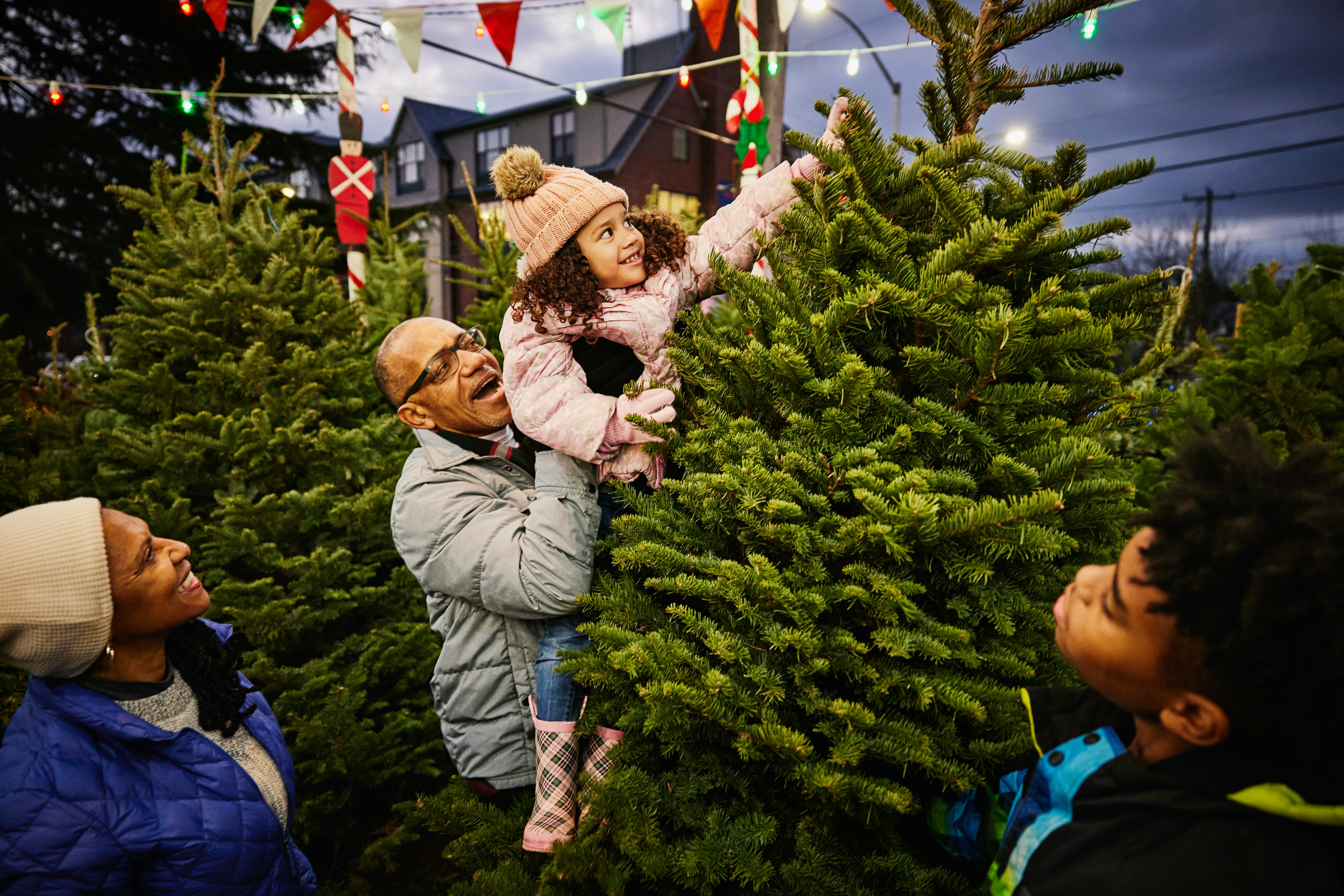 How To Keep Your Christmas Tree Alive & Fresh, All Season Long