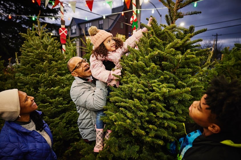 Grandfather lifting granddaughter to touch top of tree while shopping with family in Christmas tree ...