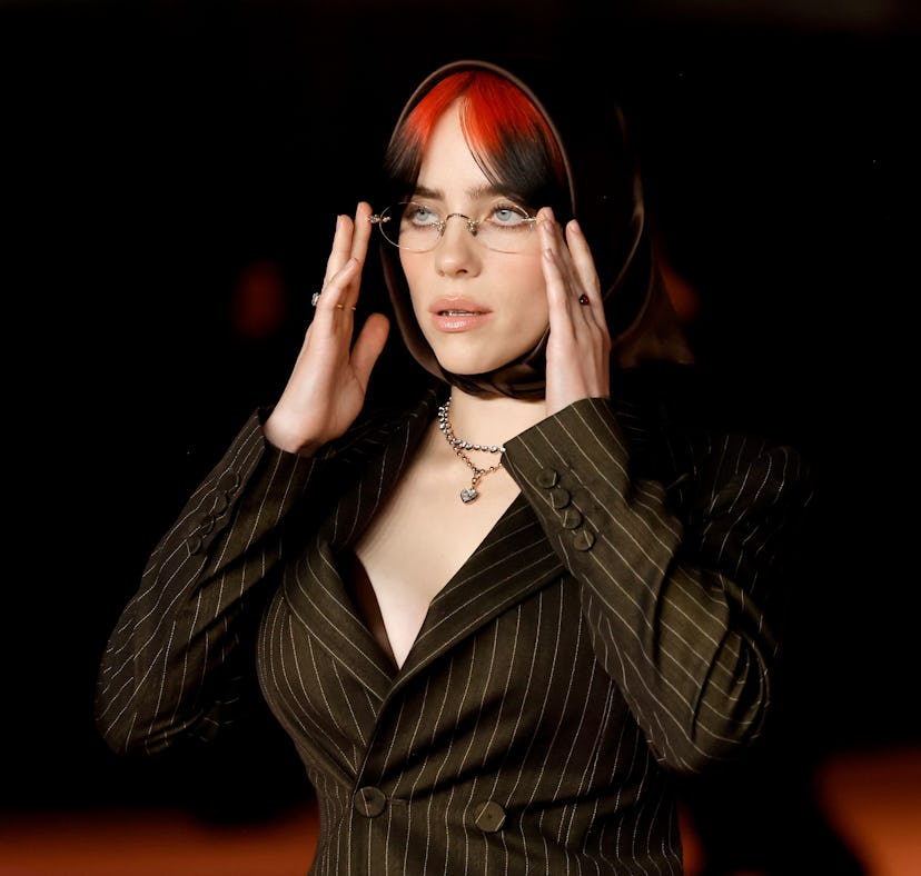 Billie Eilish expanded upon her quotes about her sexuality in a 'Variety' interview.